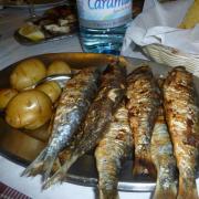 grilled sardine